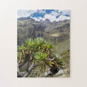 Riesenkreuzkraut oder Dendrosenecio Puzzle