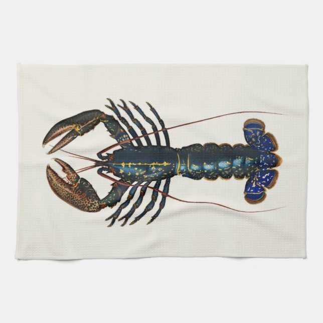 Riesenlobster - Vintage Illustration Geschirrtuch (Horizontal)