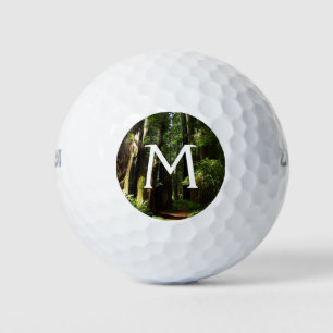 Riesenmammutbäume und Farne im Redwood National Pa Golfball