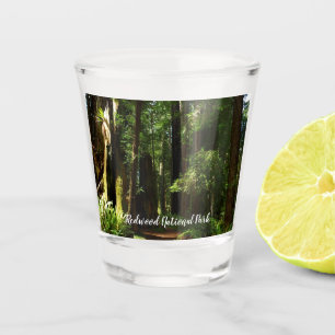 Riesenmammutbäume und Farne im Redwood National Pa Schnapsglas