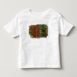 Riesenmammutbaumstämme im Wald, Yosemite Kleinkind T-shirt