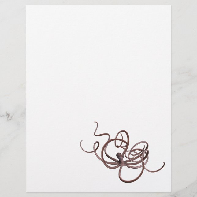 Riesenoctopus (Vorderseite)