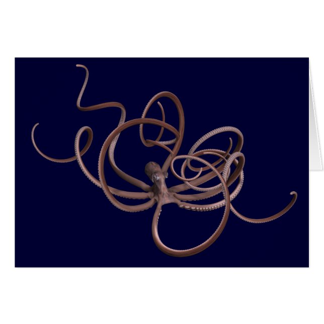 Riesenoctopus (Vorderseite (Horizontal))