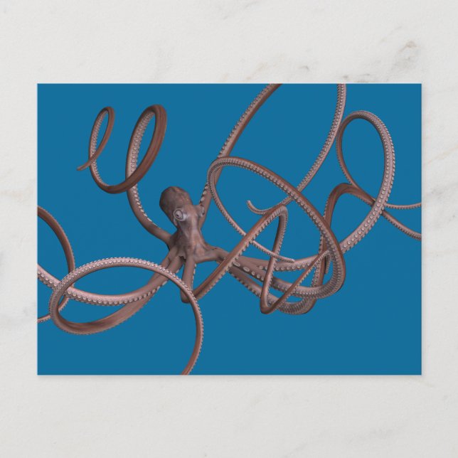 Riesenoctopus Postkarte (Vorderseite)