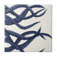 Riesenoctopus Tentacles