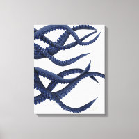 Riesenoctopus Tentacles