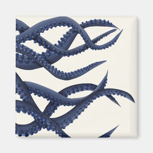 Riesenoctopus Tentacles Magnet