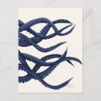 Riesenoctopus Tentacles