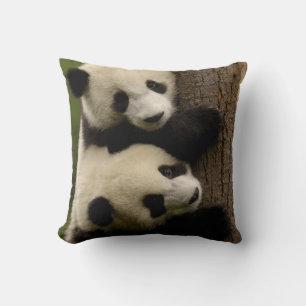 Riesenpanda (Ailuropoda melanoleuca) 2 Kissen
