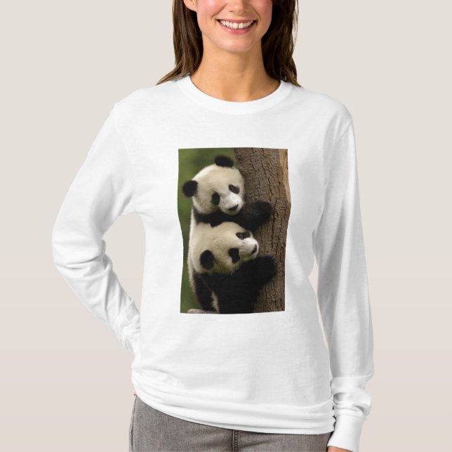 Riesenpanda (Ailuropoda melanoleuca) 2 T-Shirt (Vorderseite)