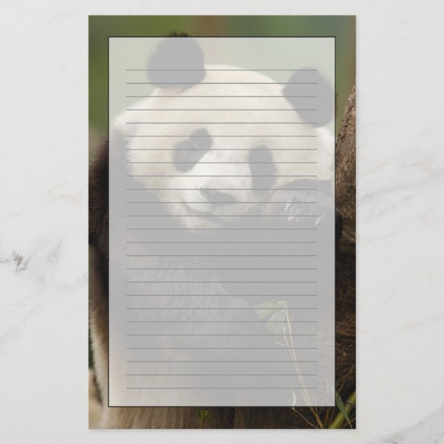 Riesenpanda Ailuropoda melanoleuca) Familie Briefpapier (Vorderseite)