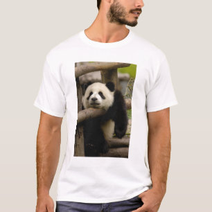 Riesenpanda-Baby Ailuropoda melanoleuca) T-Shirt