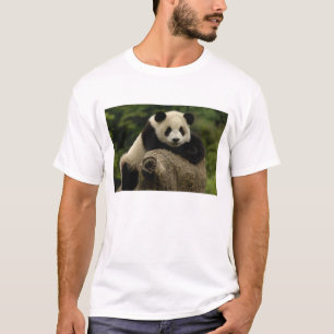 Riesenpanda-Baby (Ailuropoda melanoleuca) T-Shirt