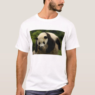 Riesenpanda-Baby (Ailuropoda melanoleuca) T-Shirt