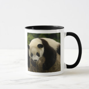 Riesenpanda-Baby (Ailuropoda melanoleuca) Tasse
