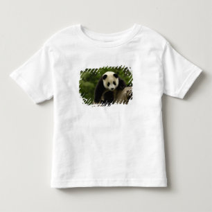 Riesenpanda-Baby Kleinkind T-shirt