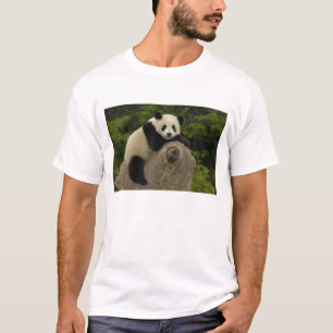 Riesenpanda-Baby T-Shirt