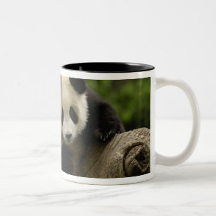Riesenpanda-Baby Zweifarbige Tasse