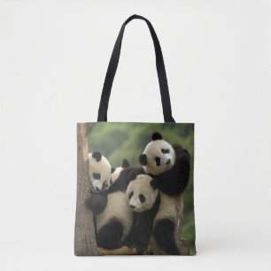 Riesenpanda-Babys Ailuropoda melanoleuca)