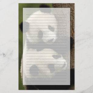 Riesenpanda-Babys (Ailuropoda melanoleuca) 2 Briefpapier