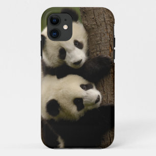 Riesenpanda-Babys (Ailuropoda melanoleuca) 2 Case-Mate iPhone Hülle