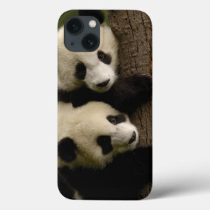 Riesenpanda-Babys (Ailuropoda melanoleuca) 2 Case-Mate iPhone Hülle