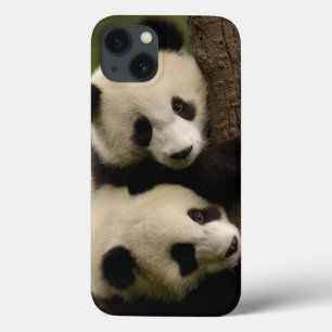 Riesenpanda-Babys (Ailuropoda melanoleuca) 2 Case-Mate iPhone Hülle
