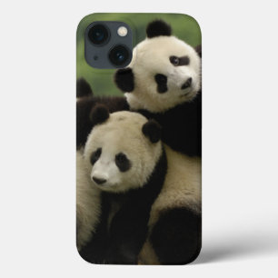 Riesenpanda-Babys Ailuropoda melanoleuca) Case-Mate iPhone Hülle