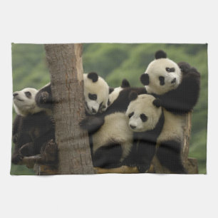 Riesenpanda-Babys Ailuropoda melanoleuca) Handtuch