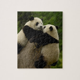 Riesenpanda-Babys (Ailuropoda melanoleuca) Puzzle