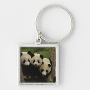 Riesenpanda-Babys Ailuropoda melanoleuca) Schlüsselanhänger