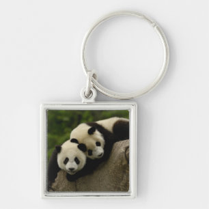 Riesenpanda-Babys Ailuropoda melanoleuca) Schlüsselanhänger
