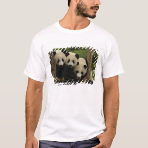 Riesenpanda-Babys Ailuropoda melanoleuca) T-Shirt