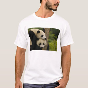 Riesenpanda-Babys Ailuropoda melanoleuca) T-Shirt
