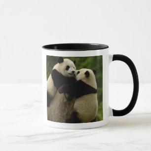 Riesenpanda-Babys (Ailuropoda melanoleuca) Tasse