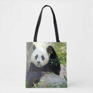 Riesenpanda, die sich gegen den Baum erhebt