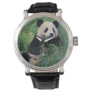 Riesenpanda im Gras, Wolong-Tal, Sichuan Armbanduhr