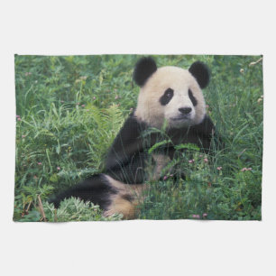 Riesenpanda im Gras, Wolong-Tal, Sichuan Handtuch