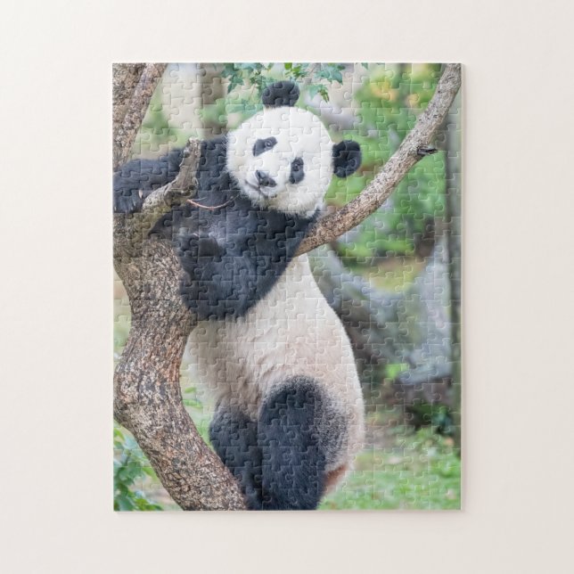 Riesenpanda in einem Baumpuzzle Puzzle (Vertikal)