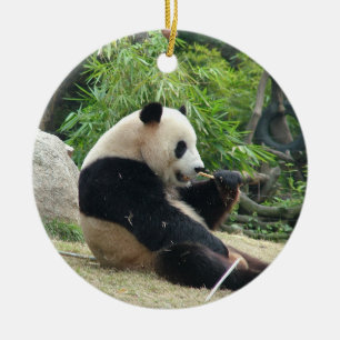 Riesenpanda in einem wilden Tierzoo Fotografie. Keramik Ornament