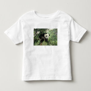 Riesenpanda-Jungtier klettert auf einen Baum, Wolo Kleinkind T-shirt
