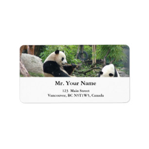 Riesenpandas Adressaufkleber