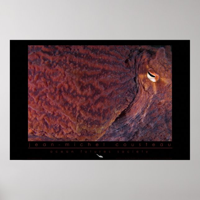 Riesenpazifischer Kraken Poster (Vorne)