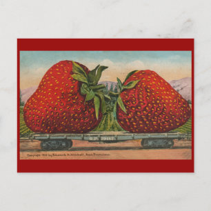 Riesens Erdbeeren Antiquität Früchte Spaß Postkarte