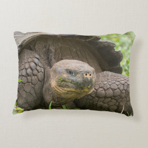 Riesenschildkröte Dekokissen