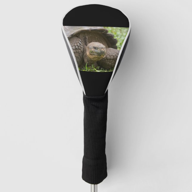 Riesenschildkröte Golf Headcover (Vorderseite)