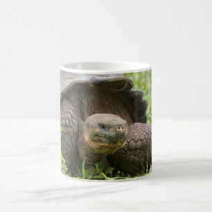 Riesenschildkröte Kaffeetasse