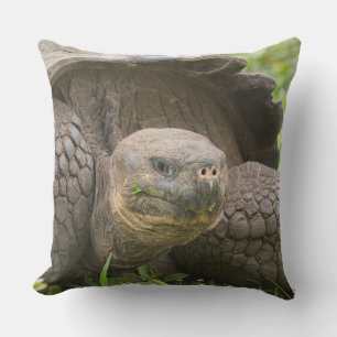 Riesenschildkröte Kissen