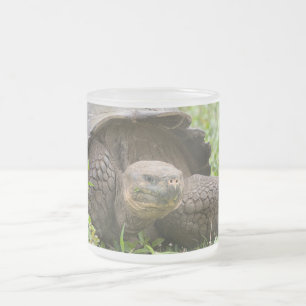 Riesenschildkröte Mattglastasse