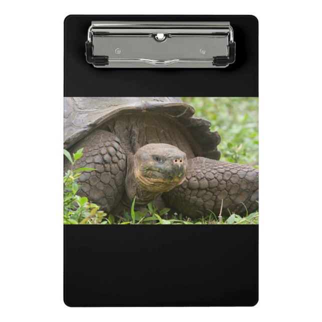 Riesenschildkröte Mini Klemmbrett (Vorderseite)